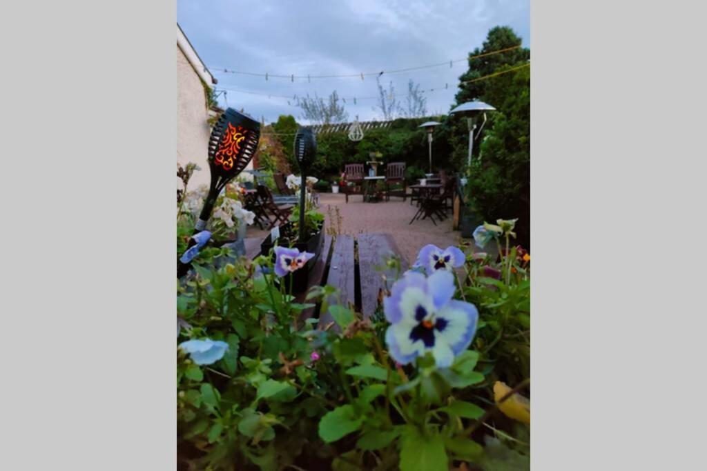 The Loft At Rowantree Cottage Dromara Exterior foto
