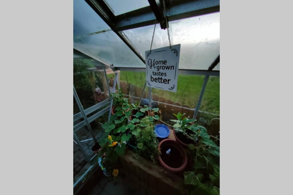 The Loft At Rowantree Cottage Dromara Exterior foto